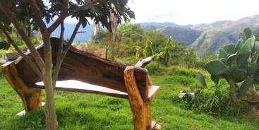 The image depicts a serene outdoor scene featuring a wooden bench, surrounded by lush greenery, with a tranquil body of water in the background, evoking a sense of peacefulness and relaxation.