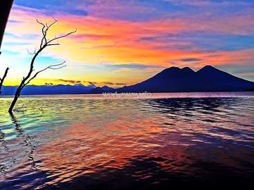 The image depicts a serene lake scene at sunset, featuring a tree in the water, mountains in the background, and a vibrant sky with pink, yellow, and blue hues.