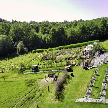This image shows a lush green landscape with a well-organized garden, various plant rows, a bench, and is surrounded by a dense forest and clear sky.