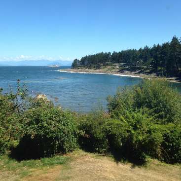 The image depicts a serene coastal scene, featuring a body of water, lush greenery, and a clear blue sky, evoking a sense of tranquility and natural beauty.