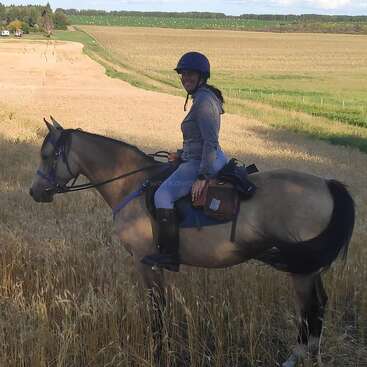 The image depicts a woman riding a horse in a field of wheat, wearing a helmet and boots, with a serene and peaceful atmosphere surrounding her.