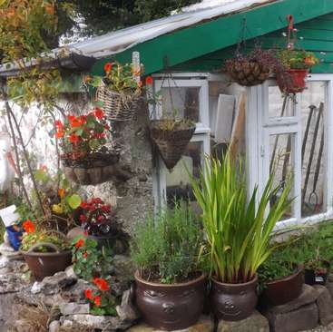 The image depicts a charming greenhouse with a green roof and white walls, adorned with potted plants and flowers, creating a serene and inviting atmosphere.