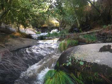 The image depicts a serene river flowing through a lush forest, with a rocky riverbank and vibrant greenery, evoking a sense of natural beauty and tranquility.