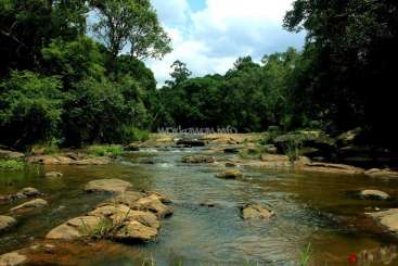 The image depicts a serene river flowing through a lush forest, with large rocks and trees lining the banks, set against a cloudy sky.
