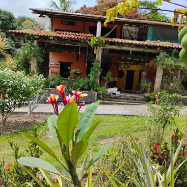 A rustic house with a red tiled roof stands surrounded by lush greenery and flowering plants. Bright tropical flowers are prominently featured in the foreground.