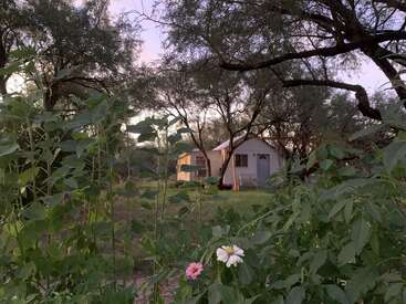 The image depicts a serene scene of a small white building nestled among trees and lush greenery, with a vibrant flower blooming in the foreground.