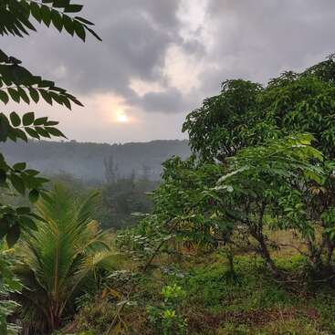The image depicts a serene landscape with lush greenery, featuring trees and bushes, set against a cloudy sky with the sun peeking through, creating a peaceful atmosphere.
