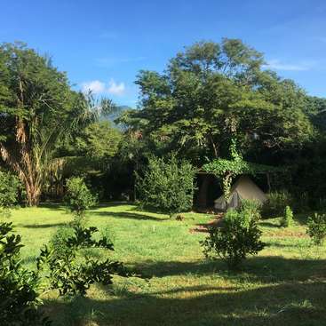 The image depicts a serene grassy area with trees and bushes, featuring a tent in the background, set against a bright blue sky with a few wispy clouds.