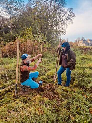 Two men are planting a tree in a grassy field, with one kneeling and the other standing, both holding tools and wearing casual attire.