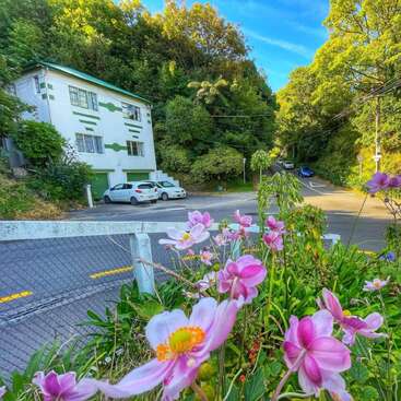 The image depicts a serene scene of a white building with green trim, surrounded by lush trees and vibrant pink flowers, set against a bright blue sky.