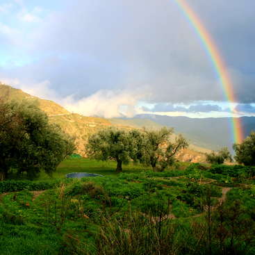 The image depicts a serene landscape featuring a rainbow, trees, a small pond, and rolling hills under a cloudy sky, evoking a sense of natural beauty and tranquility.
