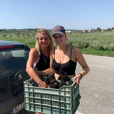Two women, one wearing a baseball cap, stand beside a car, holding a crate of puppies on a sunny day in a rural area with greenery and buildings in the background.